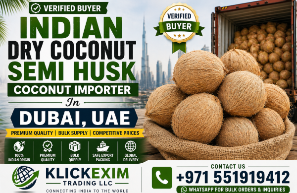 Semi-husk Coconut Importer In Dubai UAE Verified Buyer Semi-husk Coconut Importer In Dubai UAE Verified Buyer