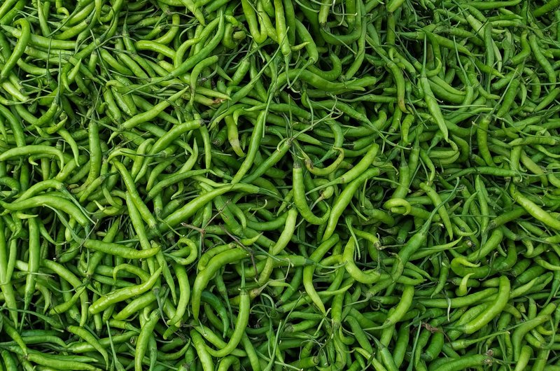 Fresh Green Chillies